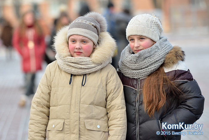 Новогодний Бобруйск