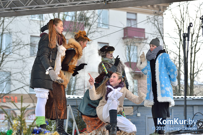 Новогодний Бобруйск