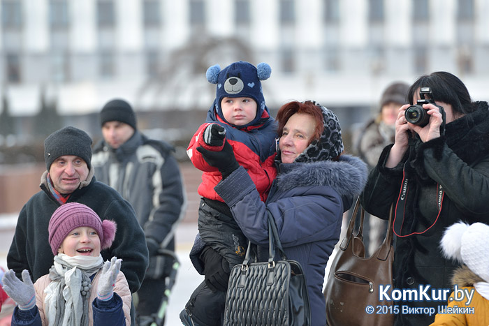 Новогодний Бобруйск