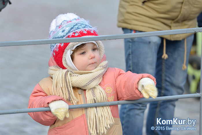 Новогодний Бобруйск