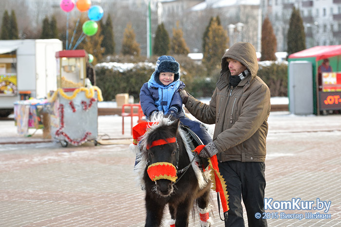 Новогодний Бобруйск