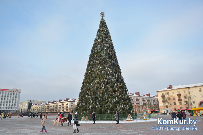 Новогодний Бобруйск