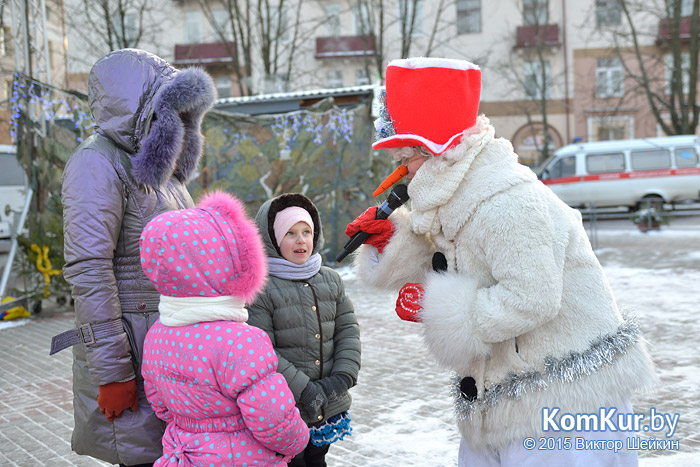 Новогодний Бобруйск