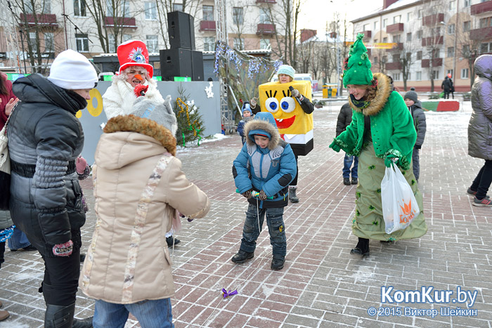 Новогодний Бобруйск