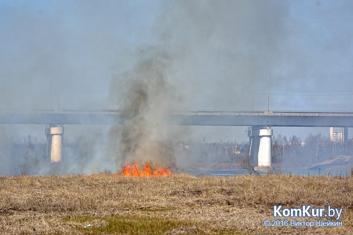 На берегу Березины в Бобруйске произошел пожар.