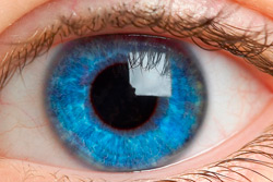 Разработана технология, позволяющая изменить цвет глаз 