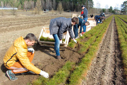Студотряд Бобруйского района займется благоустройством территории в ГЛХУ «Бобруйский лесхоз»