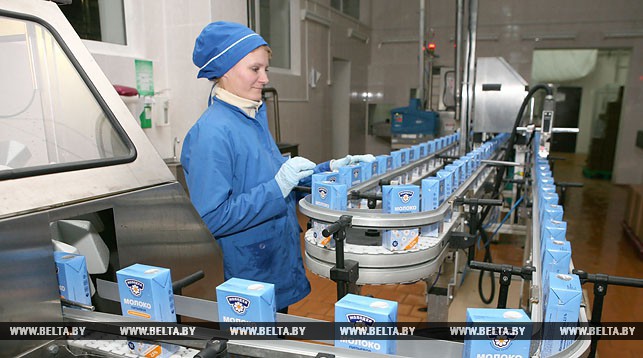 Беларусь с 1 сентября откажется от второго сорта молока