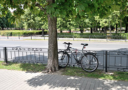 В Бобруйске продолжают красть велосипеды