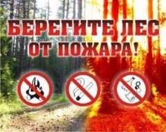 В Бобруйском районе установлен запрет на пребывания граждан в лесах и торфяных массивах