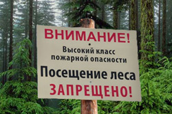 Запрет на посещение лесов будет действовать до первых дождей