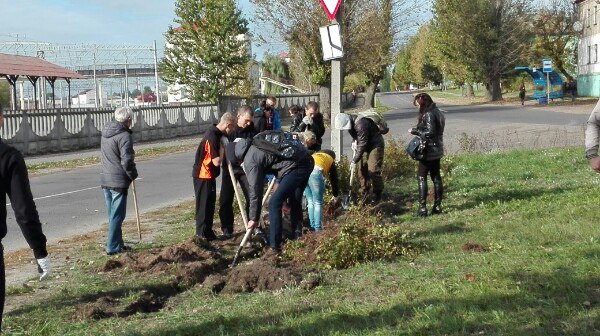 Бобруйские активисты БРСМ высадили кусты у памятного знака Владимиру Ермаку