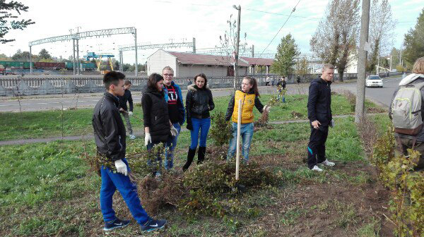Бобруйские активисты БРСМ высадили кусты у памятного знака Владимиру Ермаку
