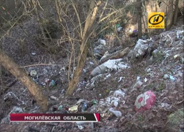 Полторы сотни свалок ликвидировали за месяц в Бобруйском районе. Видео
