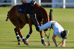 Принц Гарри дважды упал с лошади на турнире по игре в поло