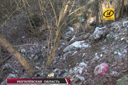 Полторы сотни свалок ликвидировали за месяц в Бобруйском районе. Видео