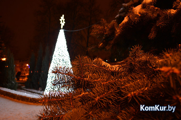 В Бобруйском районе выбрали самую красивую новогоднюю елку