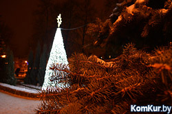 В Бобруйском районе выбрали самую красивую новогоднюю елку